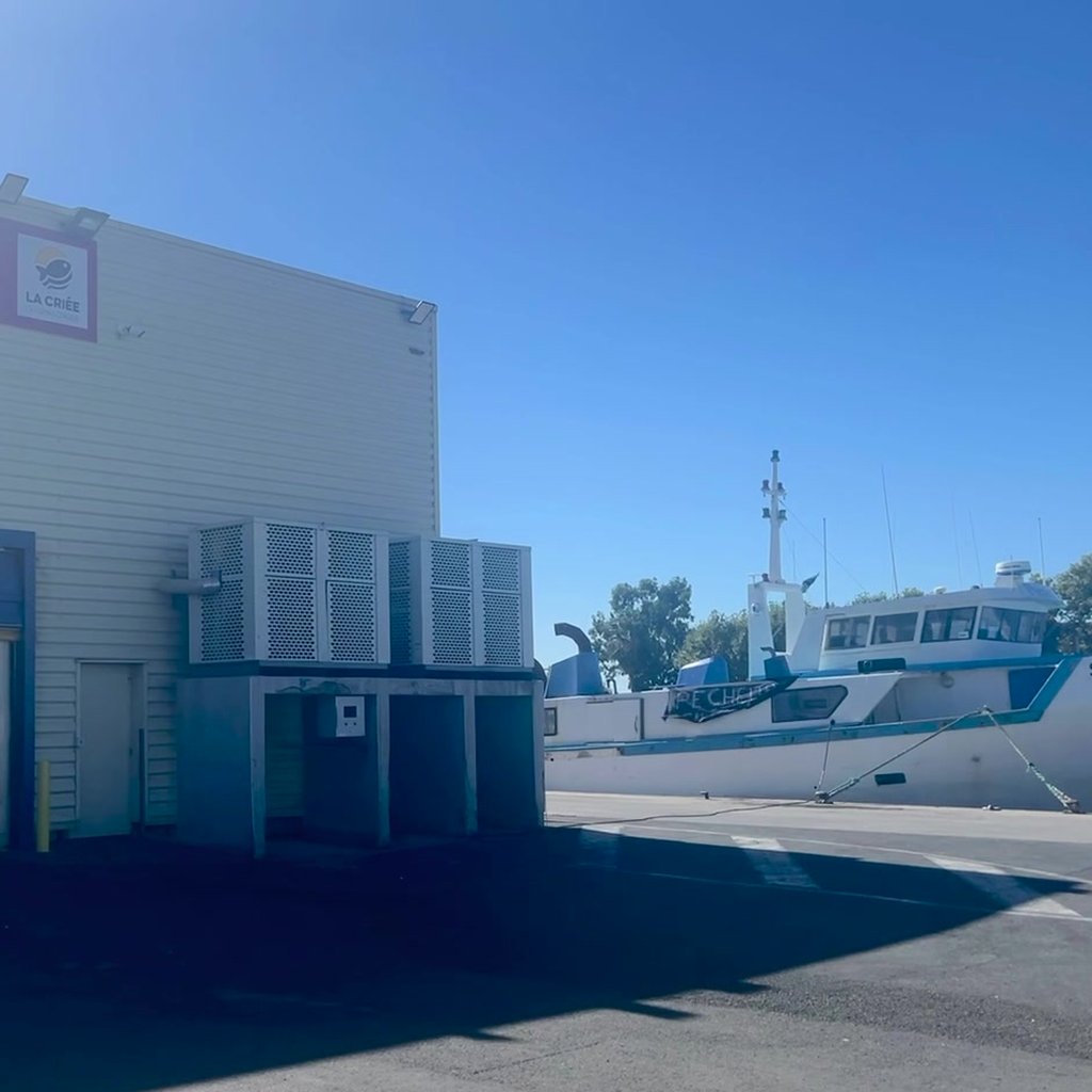 Criée aux poissons du Grau d’Agde